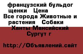 французский бульдог щенки › Цена ­ 50 000 - Все города Животные и растения » Собаки   . Ханты-Мансийский,Сургут г.